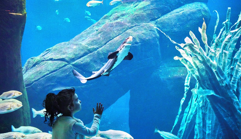 The Montreal Biodome