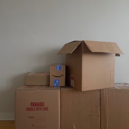 Life Recently: I Moved Back Home