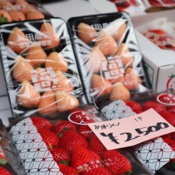 The Japan Series: 15 Things I Ate In Japan