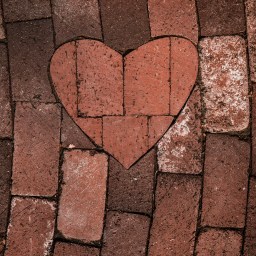 5 Things I Look for in a Partner