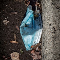 5 Years Since the Pandemic: What’s Changed (and What’s Stayed the Same)