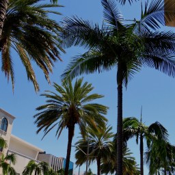 5 Fashion Trends to Elevate Your Style This Summer