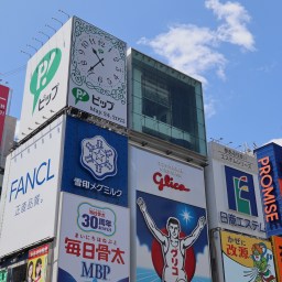 Essential Japan Travel Tips: Language, Transport, and Budgeting