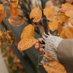 7 Romance Books That’ll Make You Fall in Love This Fall